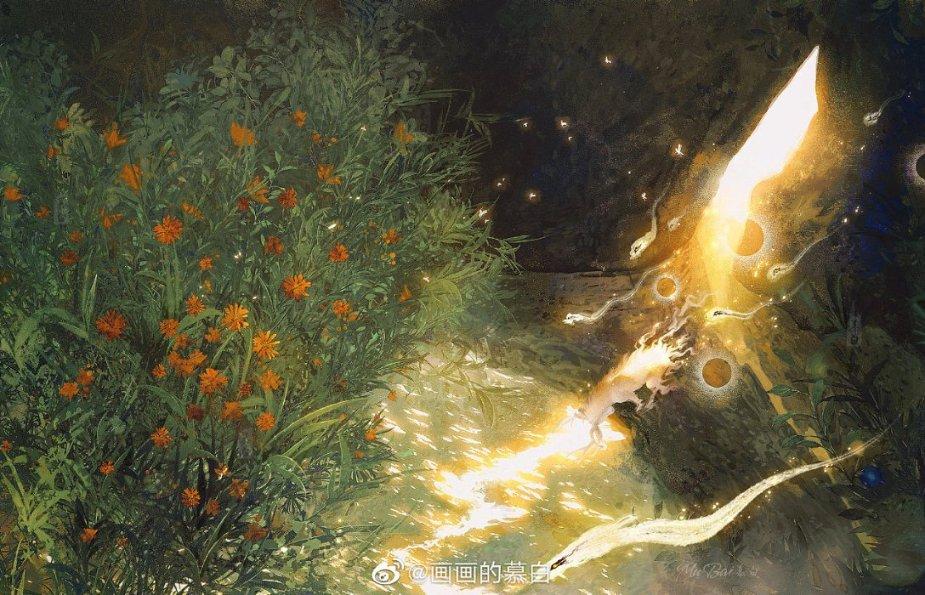 探索知识星球平台 | 精选法学硕士和司法考试哪个好,分享你的独特见解
